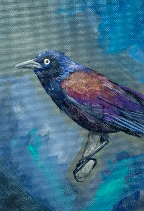 Grackle painting