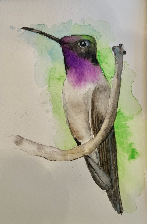 Hummingbird painting